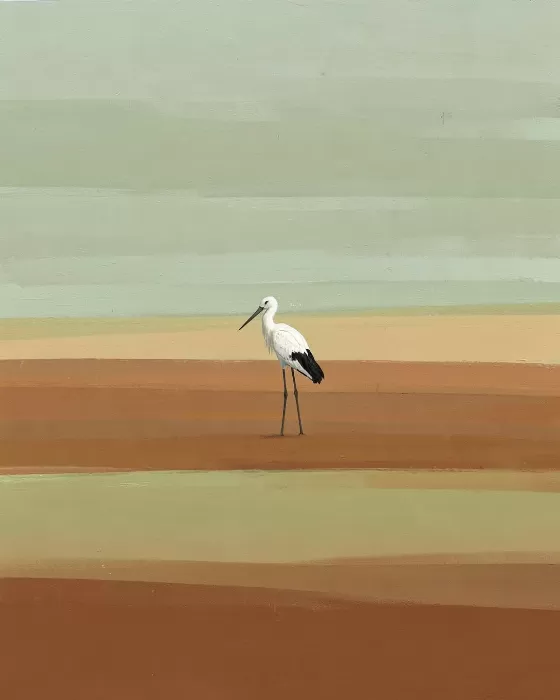 Quiet Accent