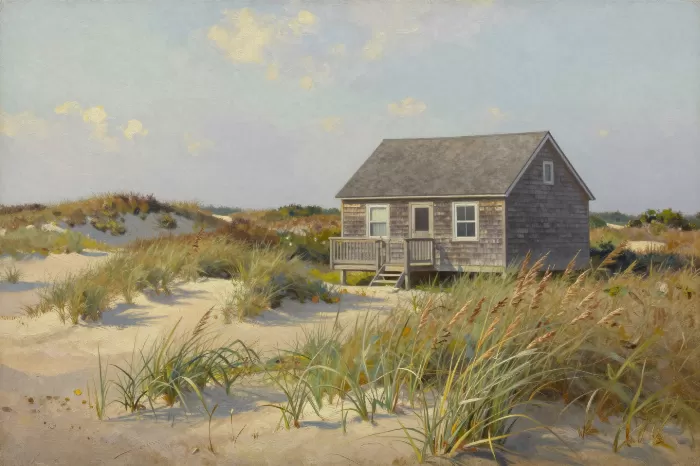 Shingled Dune