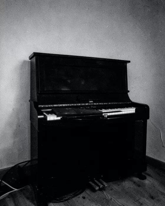 Ivories