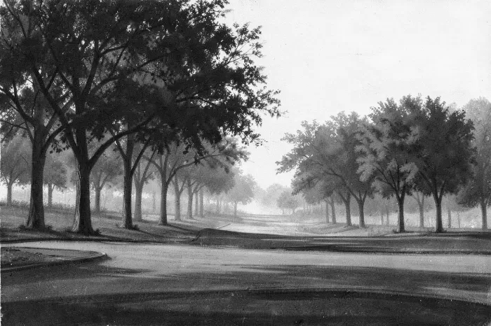 Misty Fairway
