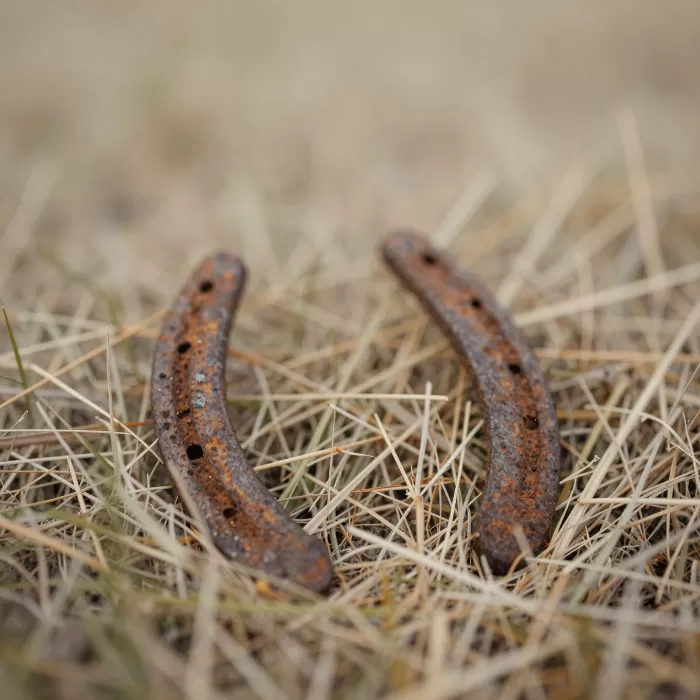 Rust Relic