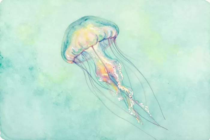 Jellyfish Bloom