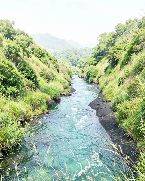 River Gulch