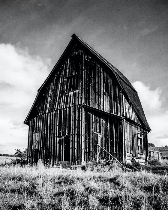 Homestead Shadow