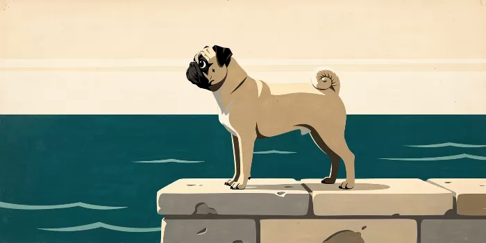 Harbour Pug