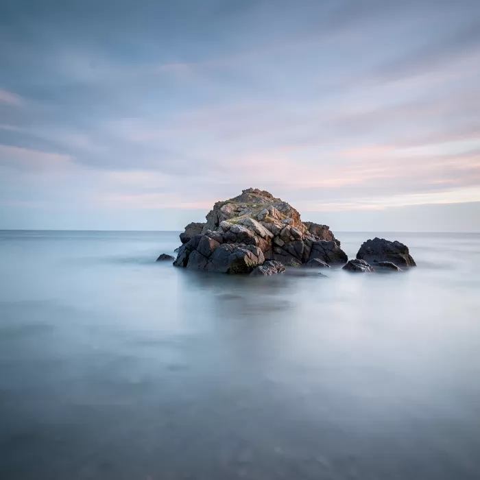 Rosewater Calm