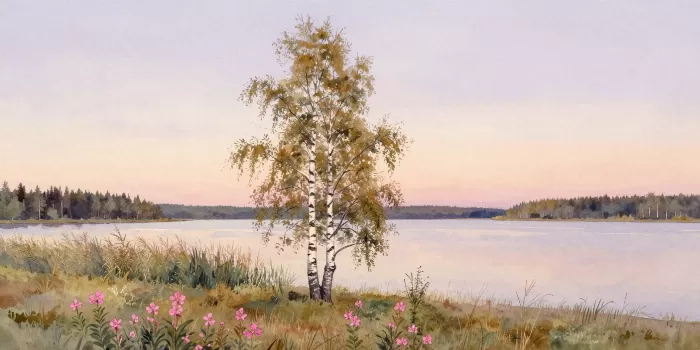 Lakeside Birch