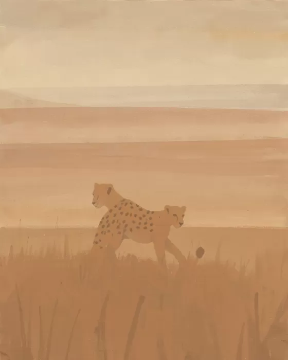 Ochre Stride