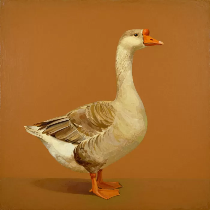 Warm Goose