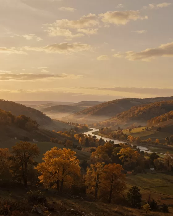Gilded Valley