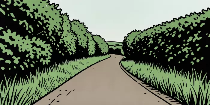 Lane Between