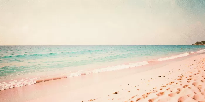 Bermuda Shore