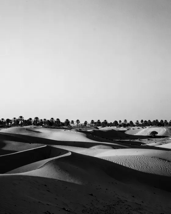Giza Light