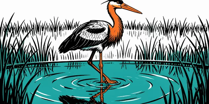 Tidal Stork