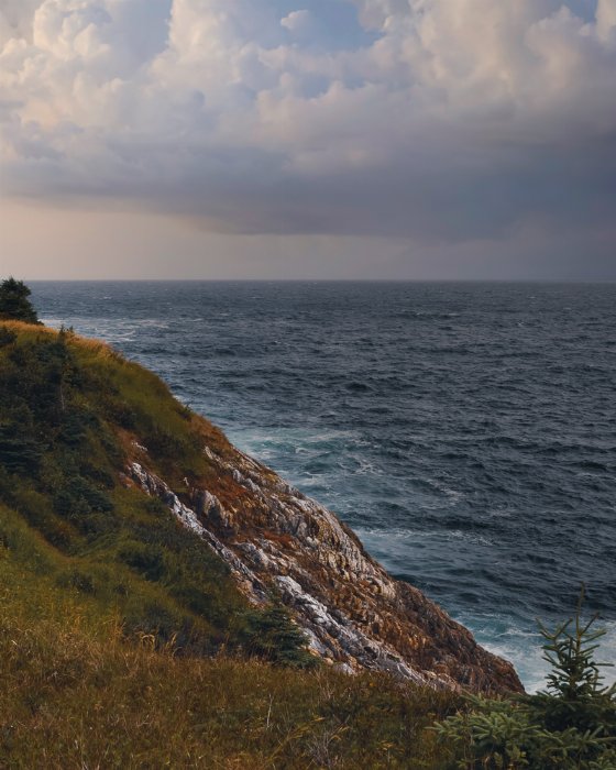 Islands Edge - Newfoundland art print