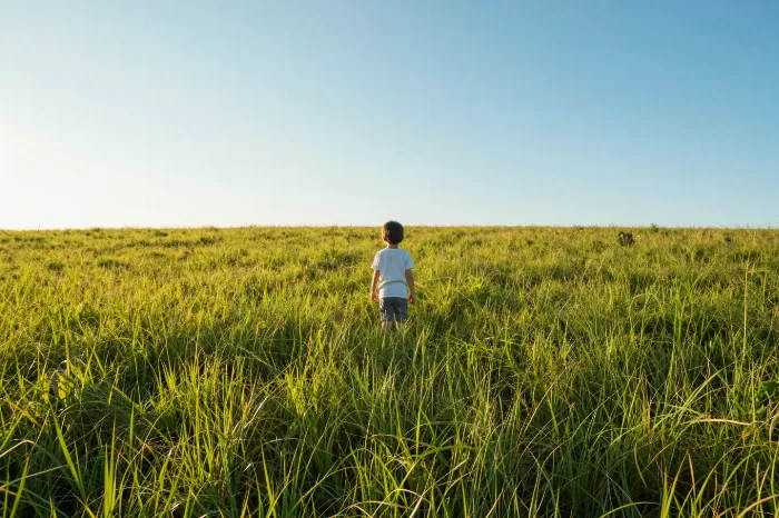 Little Wanderer