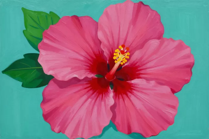 Hibiscus Bold