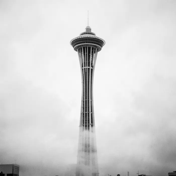 Needle Mist