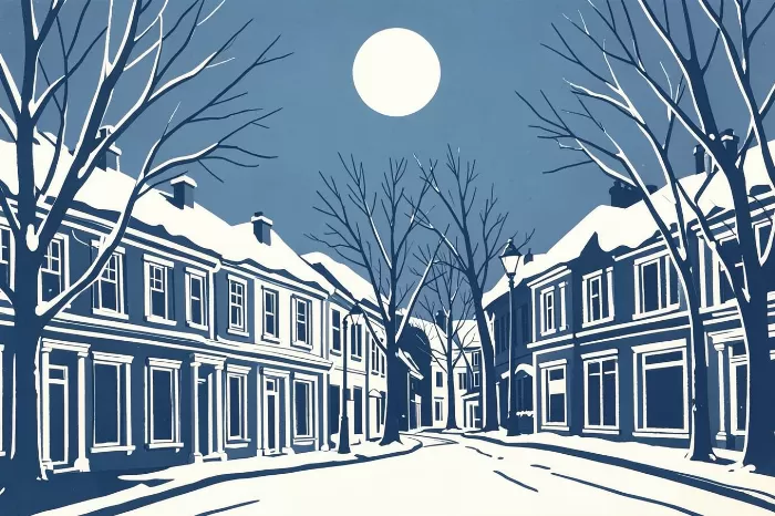 Snowy Streets