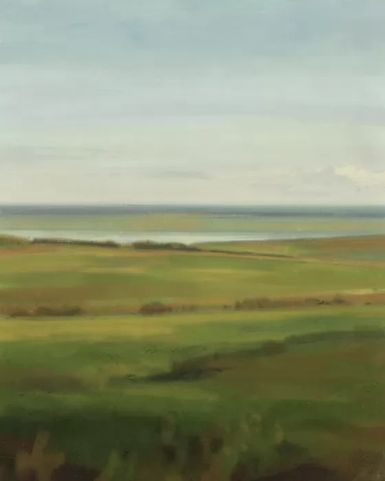 Irish Plain