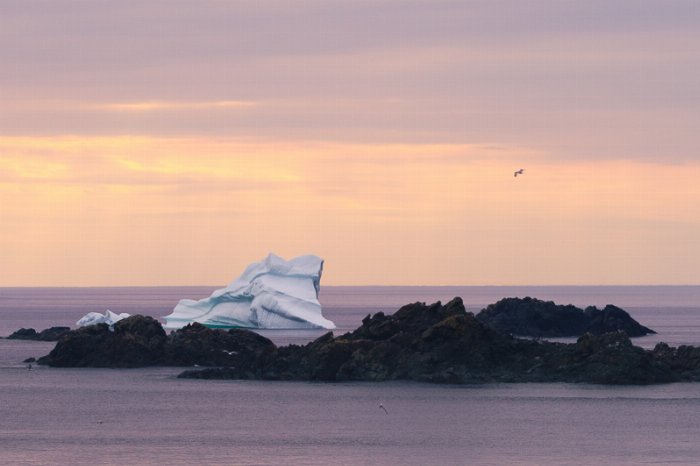 Ice Aground - Newfoundland art print