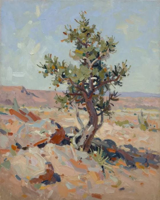 Juniper Light