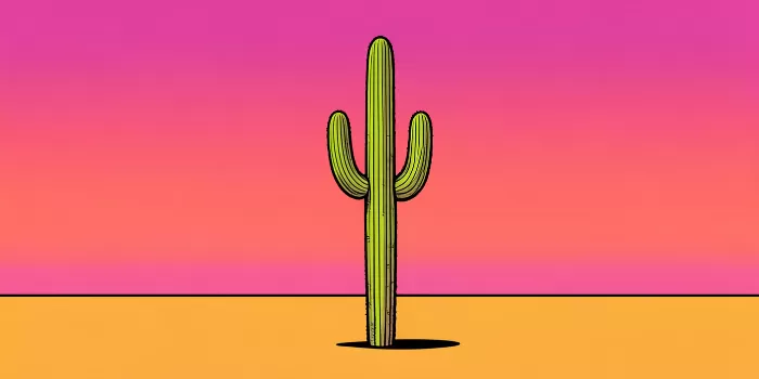 Saguaro Pop
