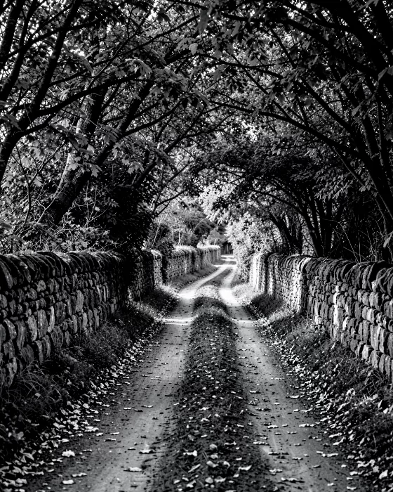 Branch Tunnel