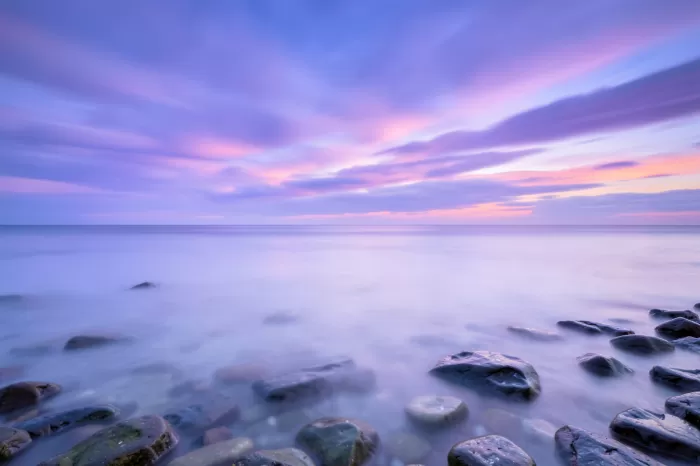 Lilac Dawn