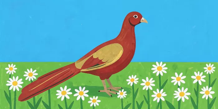 Meadow Bird