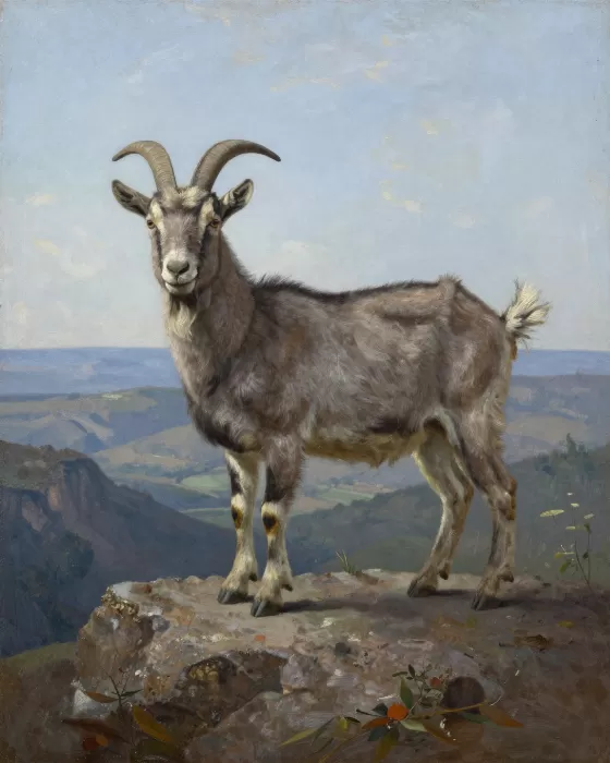 Mountain Sentinel