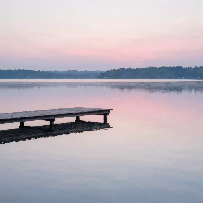 Pink Morning