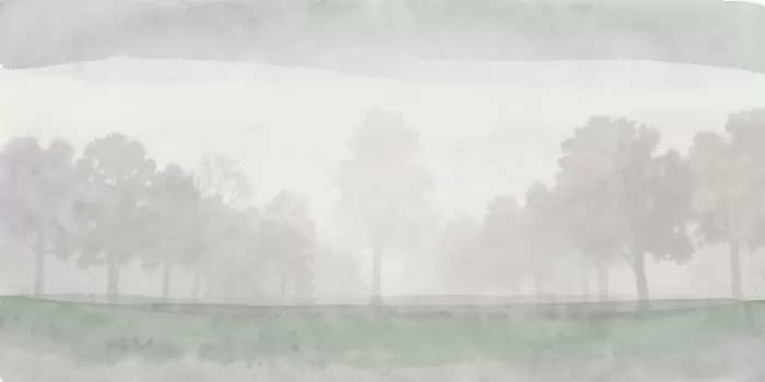 Forest Mist