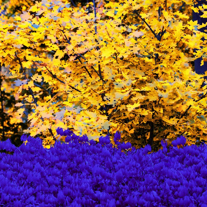 Infared Fall - Newfoundland art print