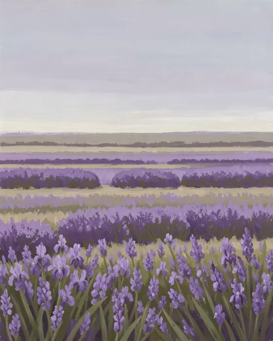 Iris Horizon