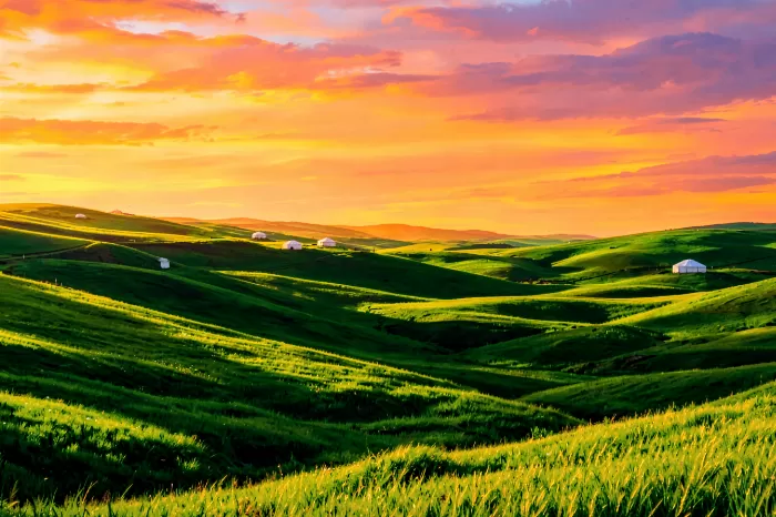 Amber Steppe