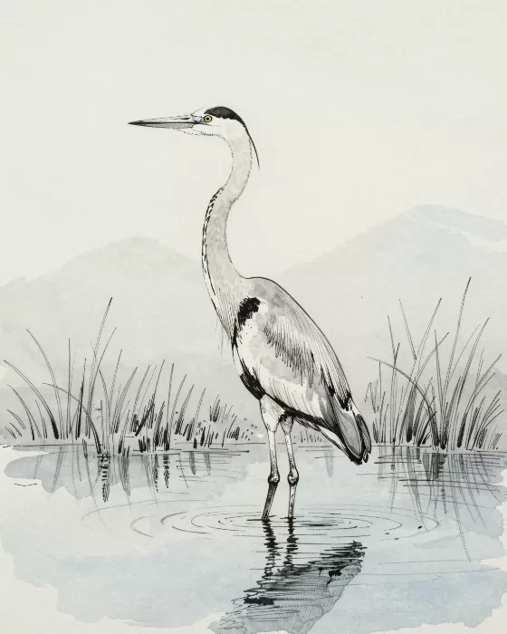 Marsh Vigil