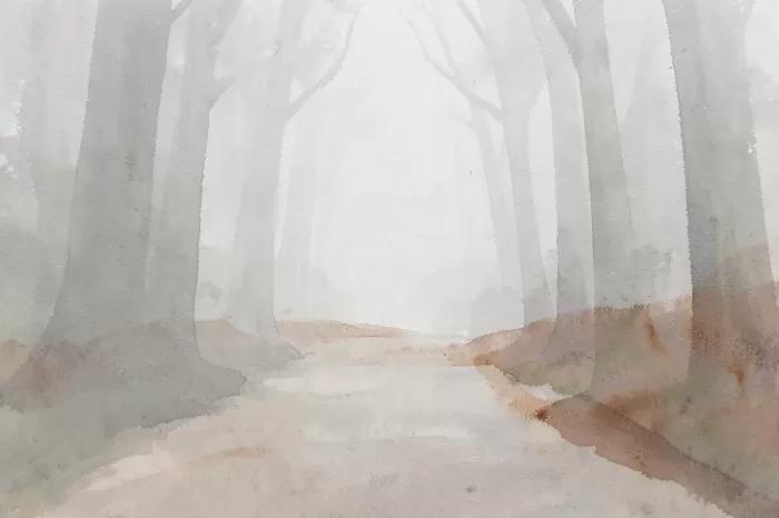 Mist Forest
