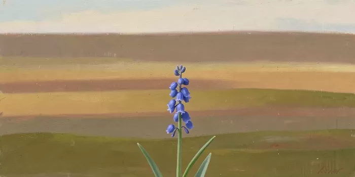 Earth And Stem