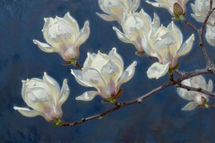 Midnight Magnolia