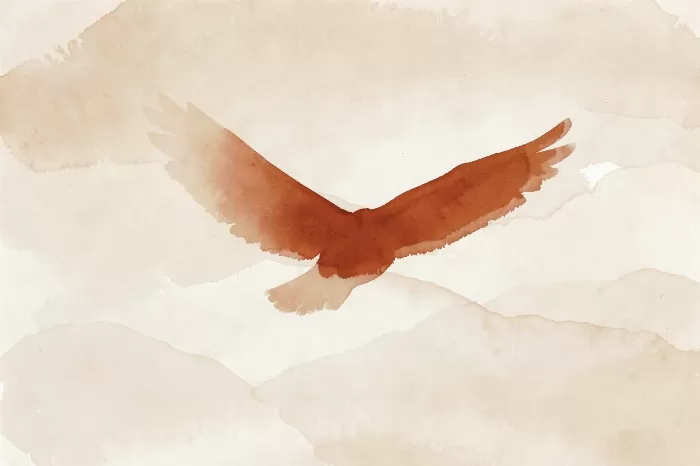Single Soar