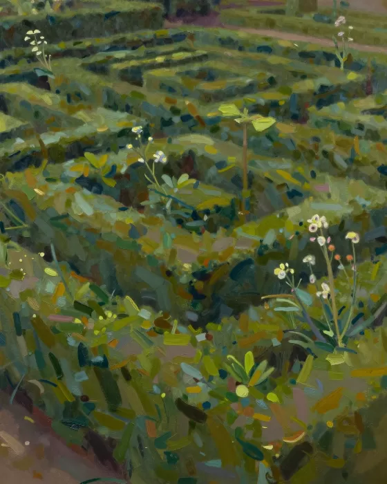 Hedge Maze