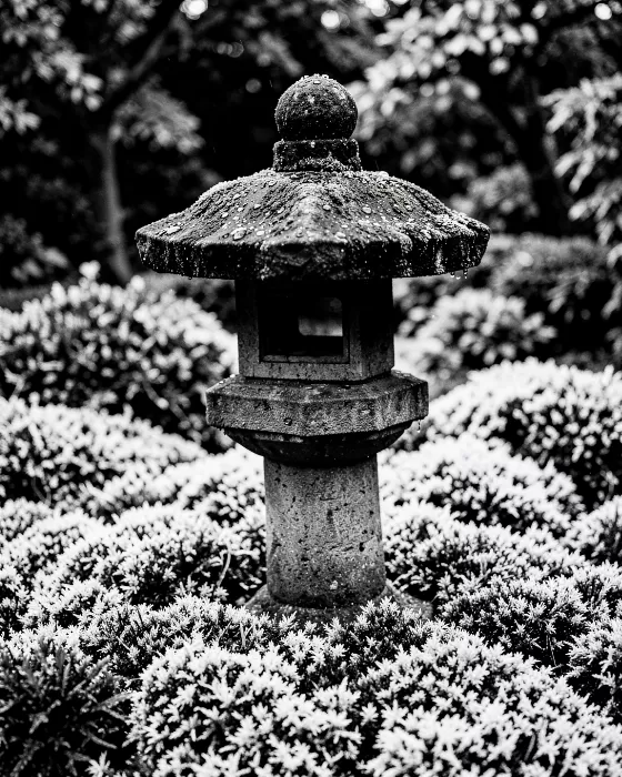 Moss Lantern