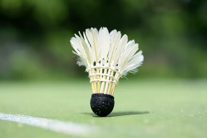 Shuttlecock