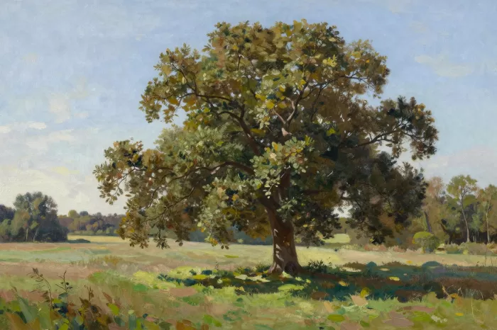 Meadow Shade