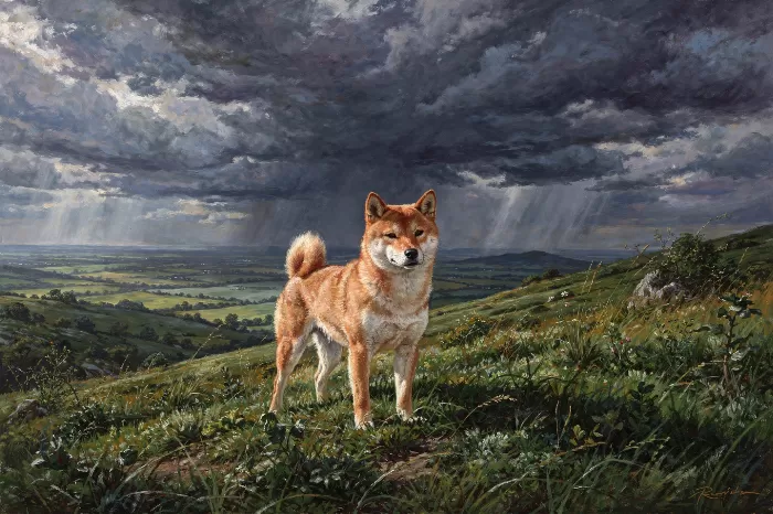Shiba Knoll