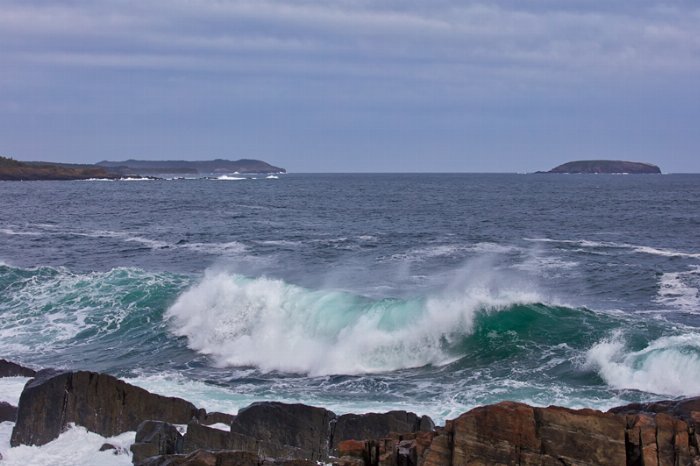 Tors Cove Wave - Newfoundland art print