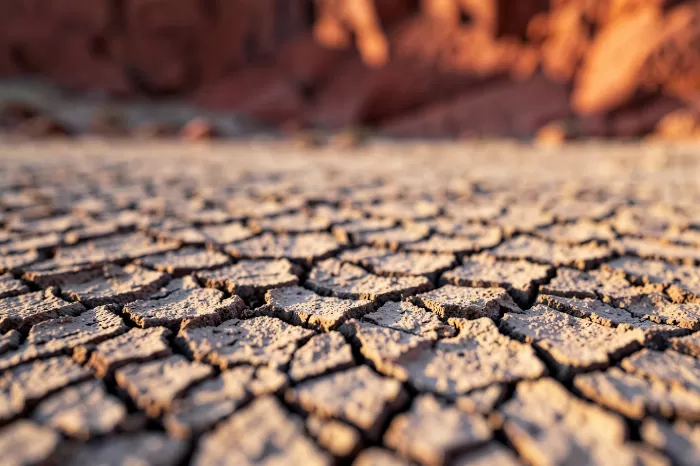 Desert Crust