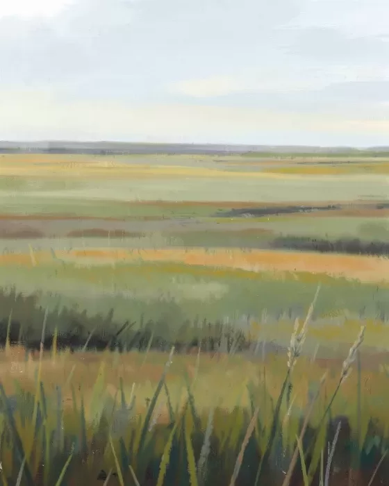 Spartina Fields