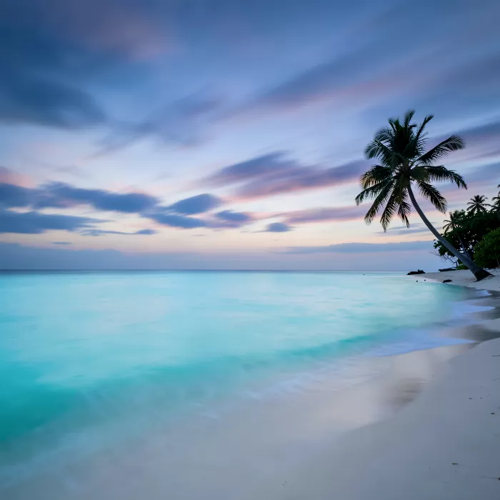 Silken Waters